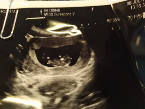 ขอดูใบซาวของแม่ๆหน่อยค่ะ