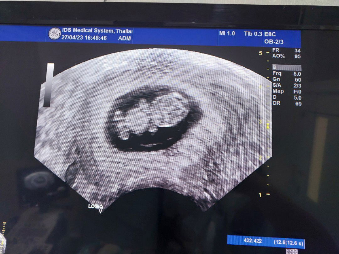 แม่แม่ profile icon