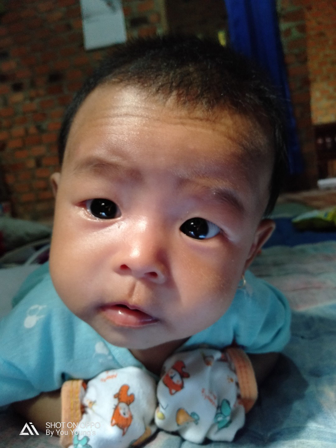 Bingung