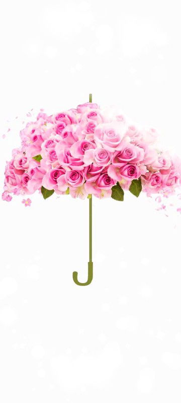 Annisa Anjarani Haq profile icon