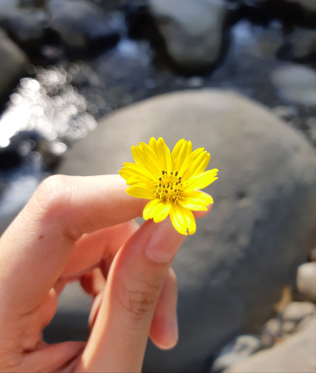Atikah Azzahra profile icon