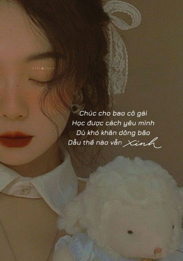 Trần M. Nguyệt profile icon