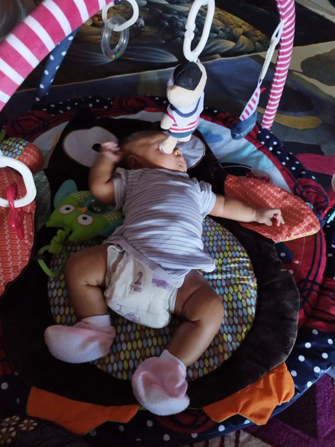 Hani Daisy profile icon