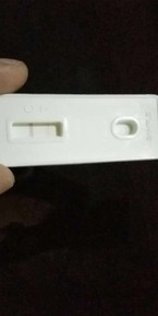pregnancy test