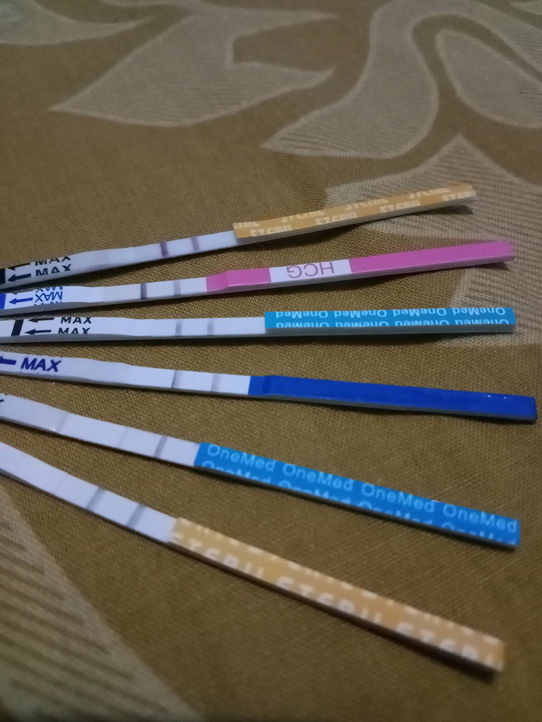 Elsha Novita profile icon