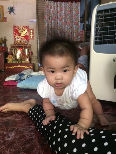 6เดือนเกาะยืน