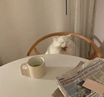 Yelva Rani profile icon