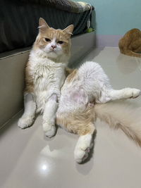 ธรรญชนก กลางประพันธ์ profile icon