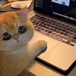 Patt Cha profile icon