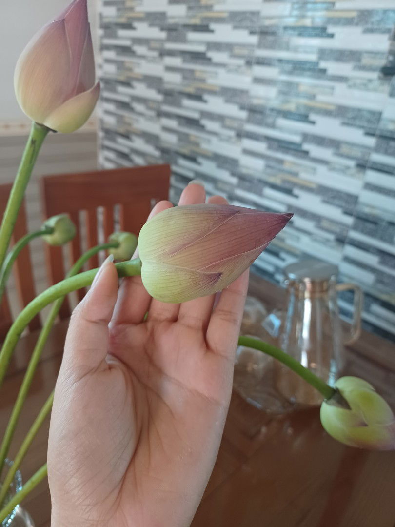 Nguyễn Thị Mai Hương profile icon