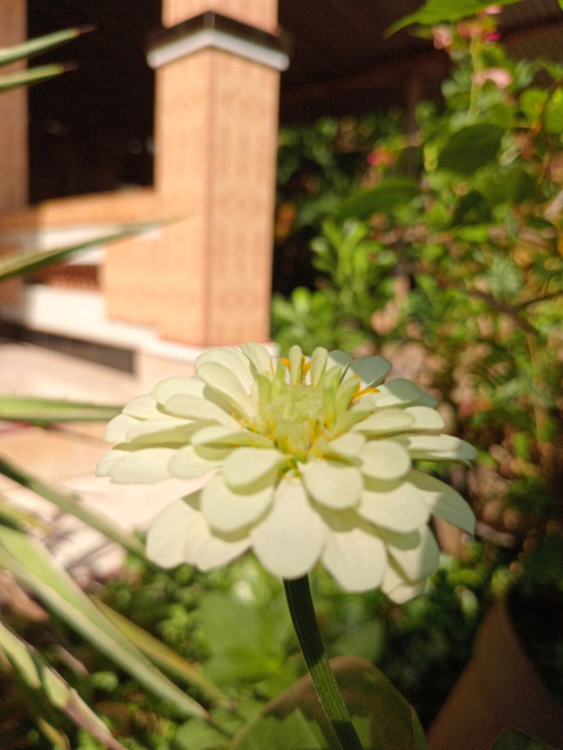 Panggil aku ibu profile icon