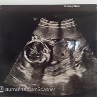 Nano New profile icon