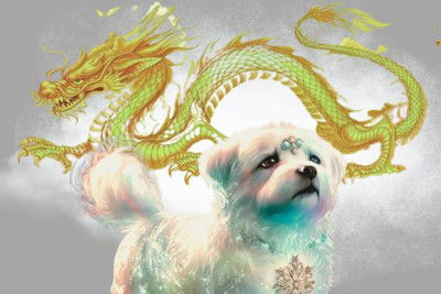 Mẹ bé cún bé rồng profile icon