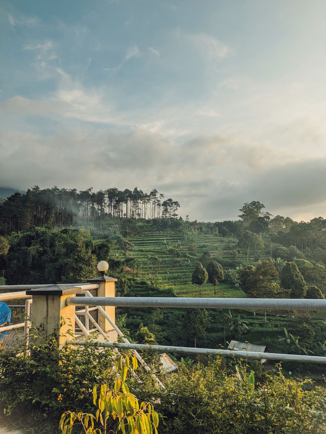 emi hidayah profile icon