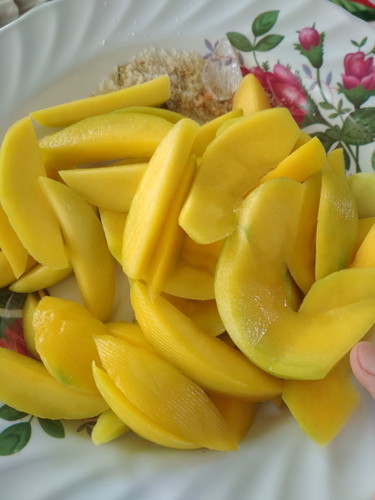 mangga muda