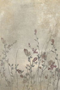 Nanda Ulya profile icon