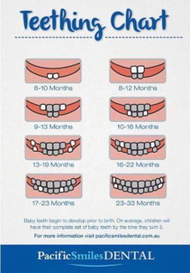 Teething Chart