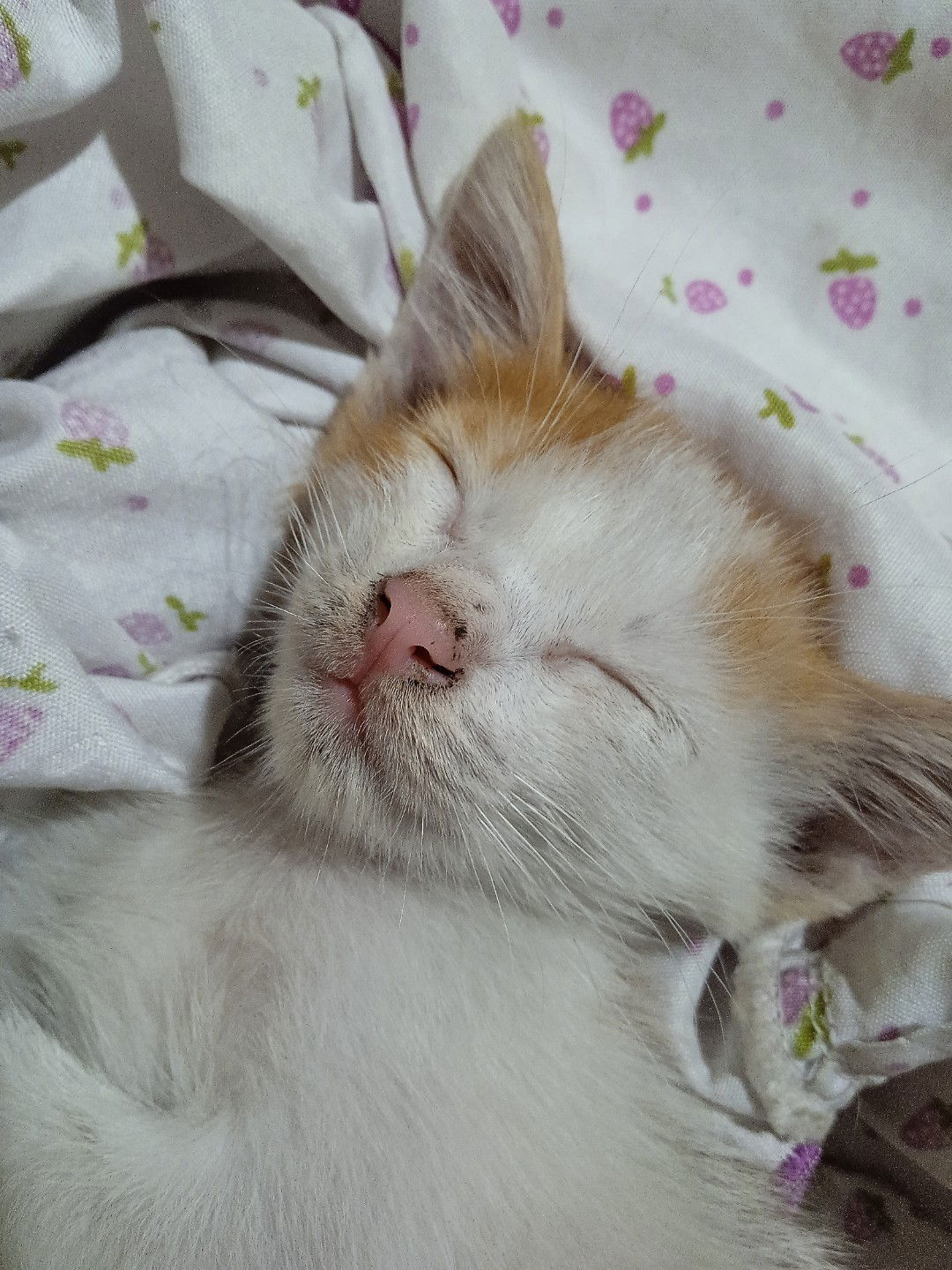 Yalaizah Diarol Ubang profile icon