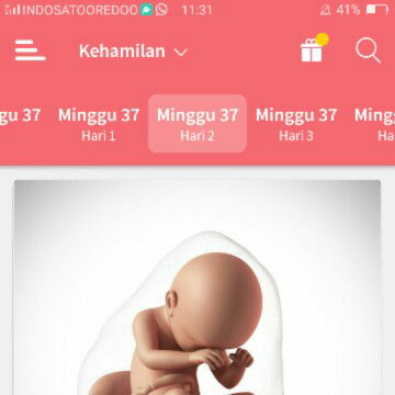 hpl 12 februari 2020