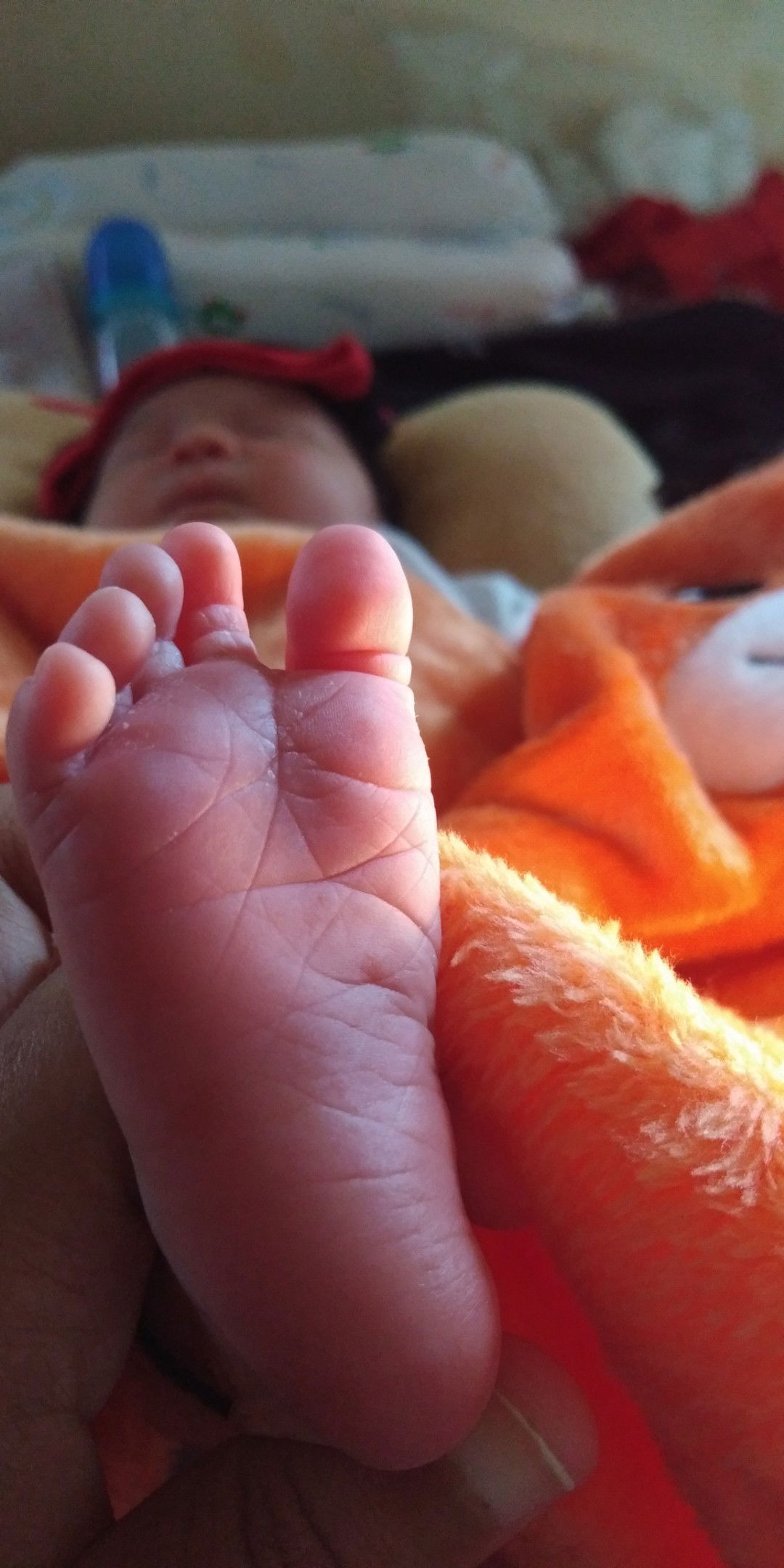 bunda litul profile icon