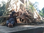 febriyana ekafitri profile icon