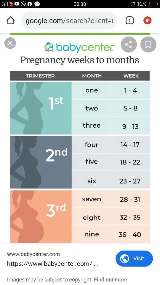 week n month pregnancy