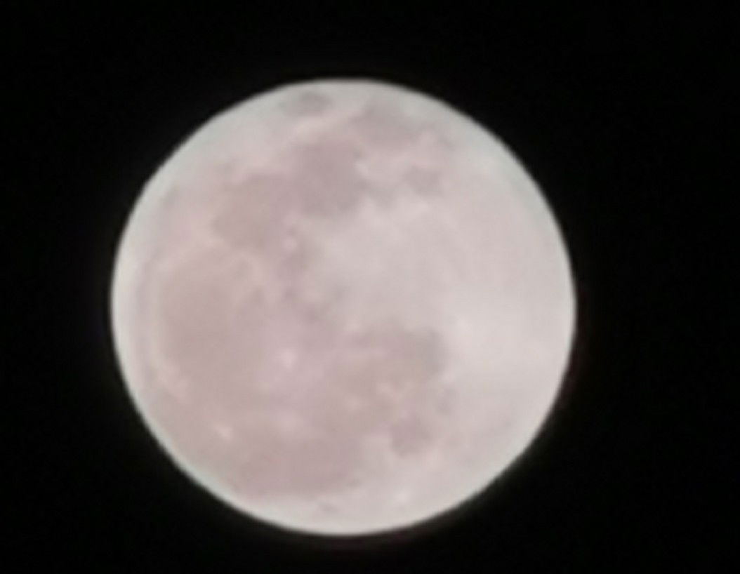 patrose 19 profile icon