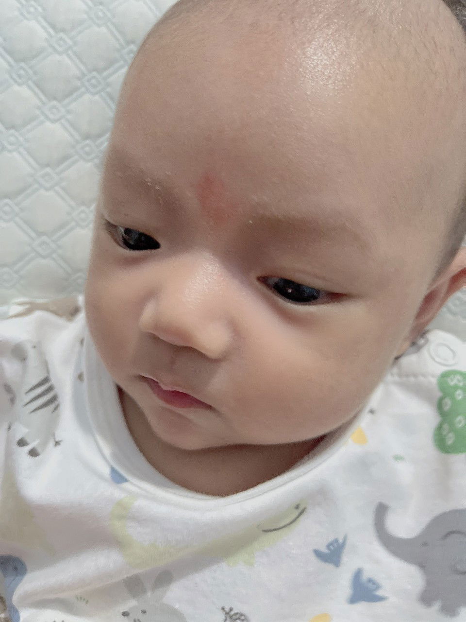 Anh Thư profile icon