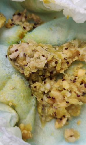 poop every after feeding