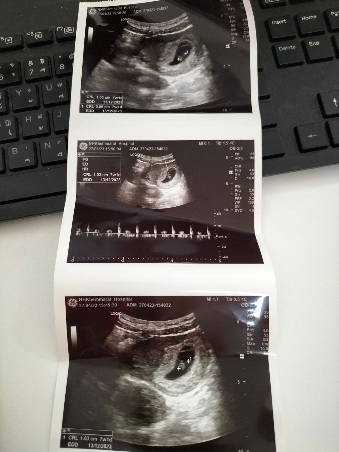 ชาล็อต'ต เต้ profile icon