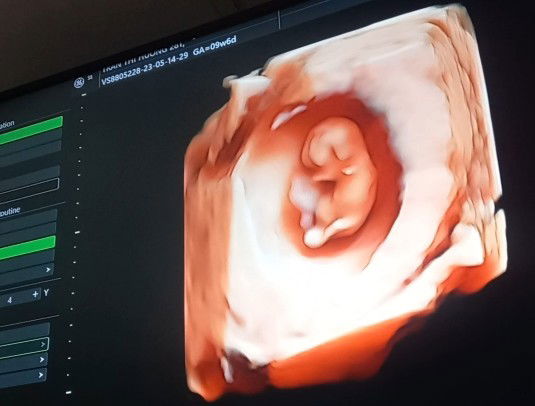 Trọng Tấn profile icon