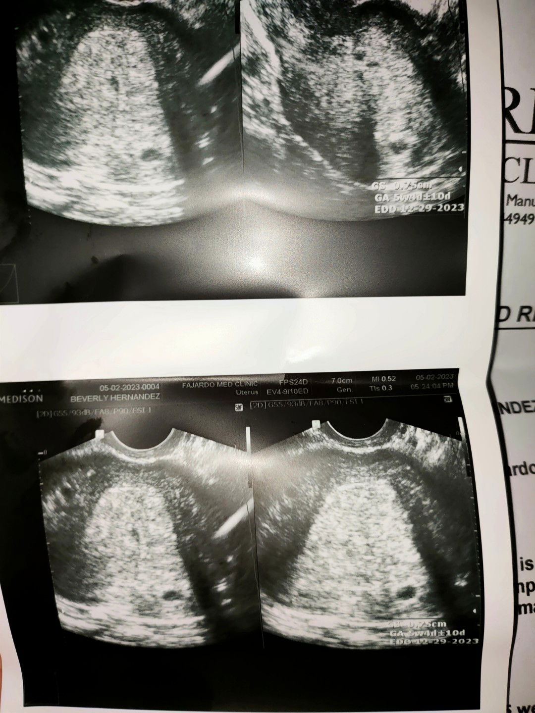 bev hernandez profile icon