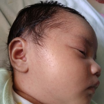 seputar bayi