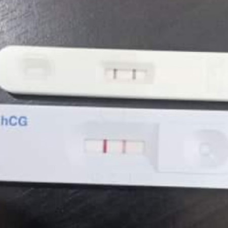 Pregnancy