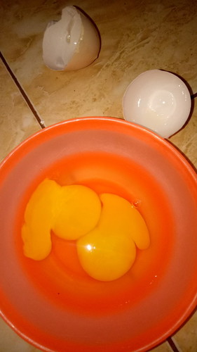 kuning telur 2
