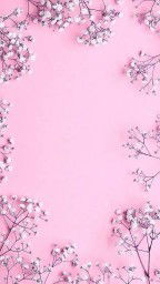 lisadwi profile icon