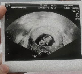 การ์ตูน profile icon