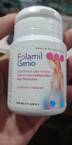 vitamin hamil