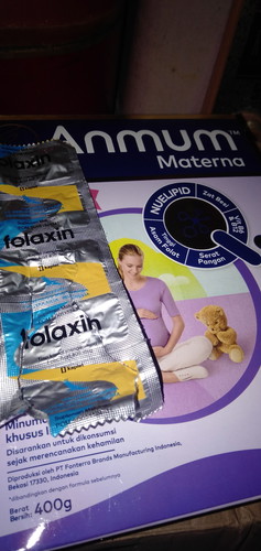 susu anmum dan pil asam folat