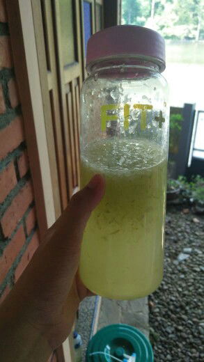 Seger seger disiang hari