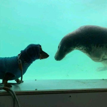 Roselyn Mendez Templado profile icon