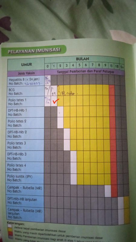Imunisasi bayi 1 bulan