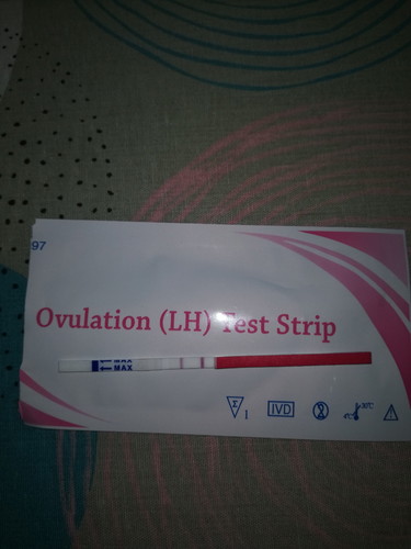 Opk