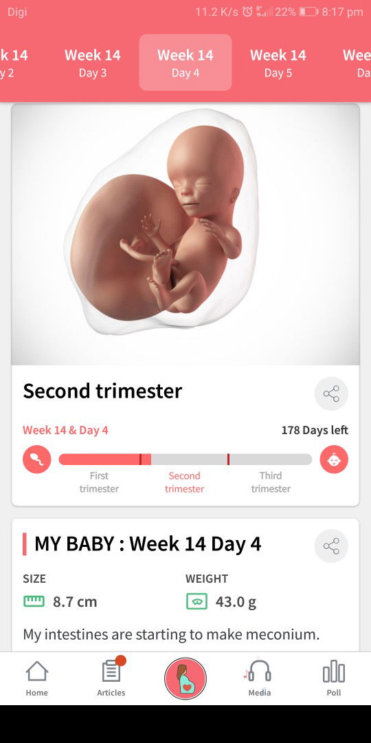 Ngilu Pada Bhgian Bawah Perut 14w4d