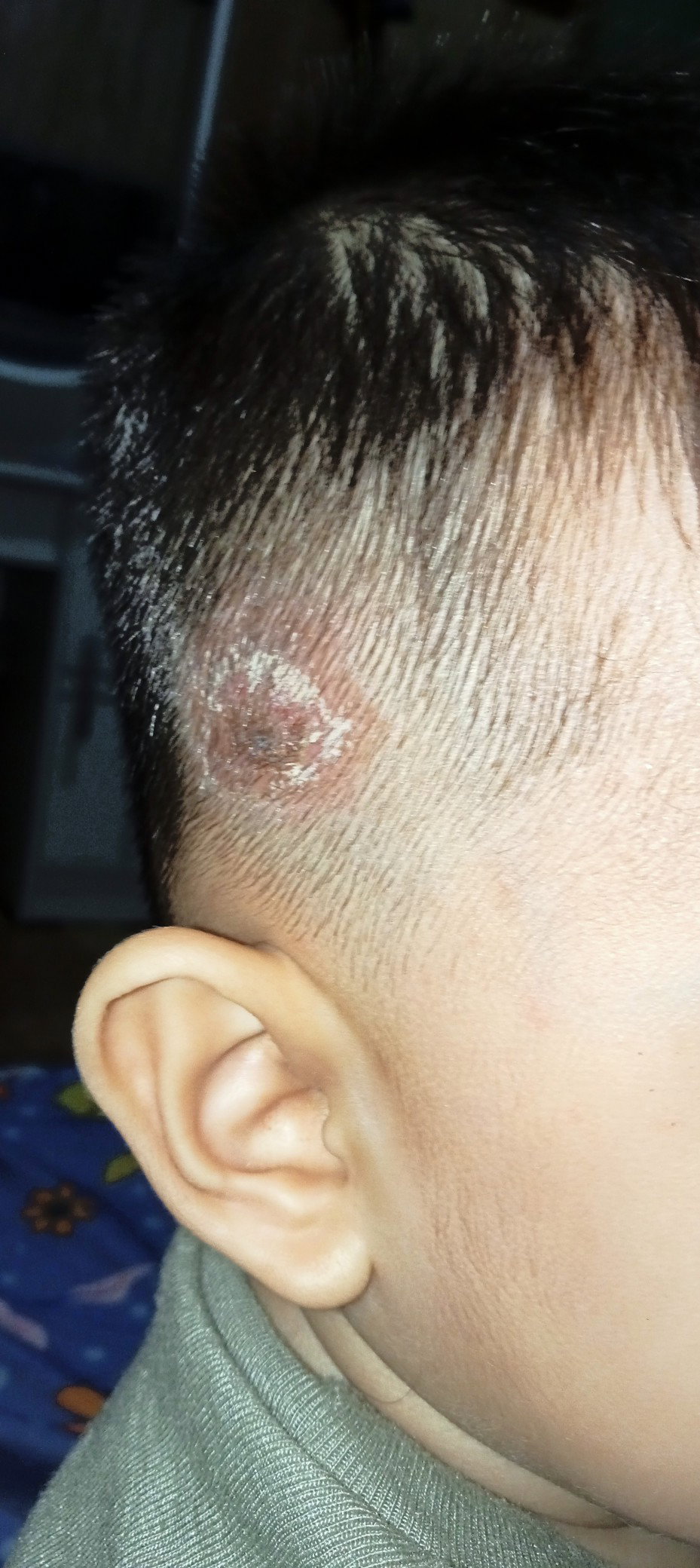 Tiba tiba muncul kaya gini habis pangkas