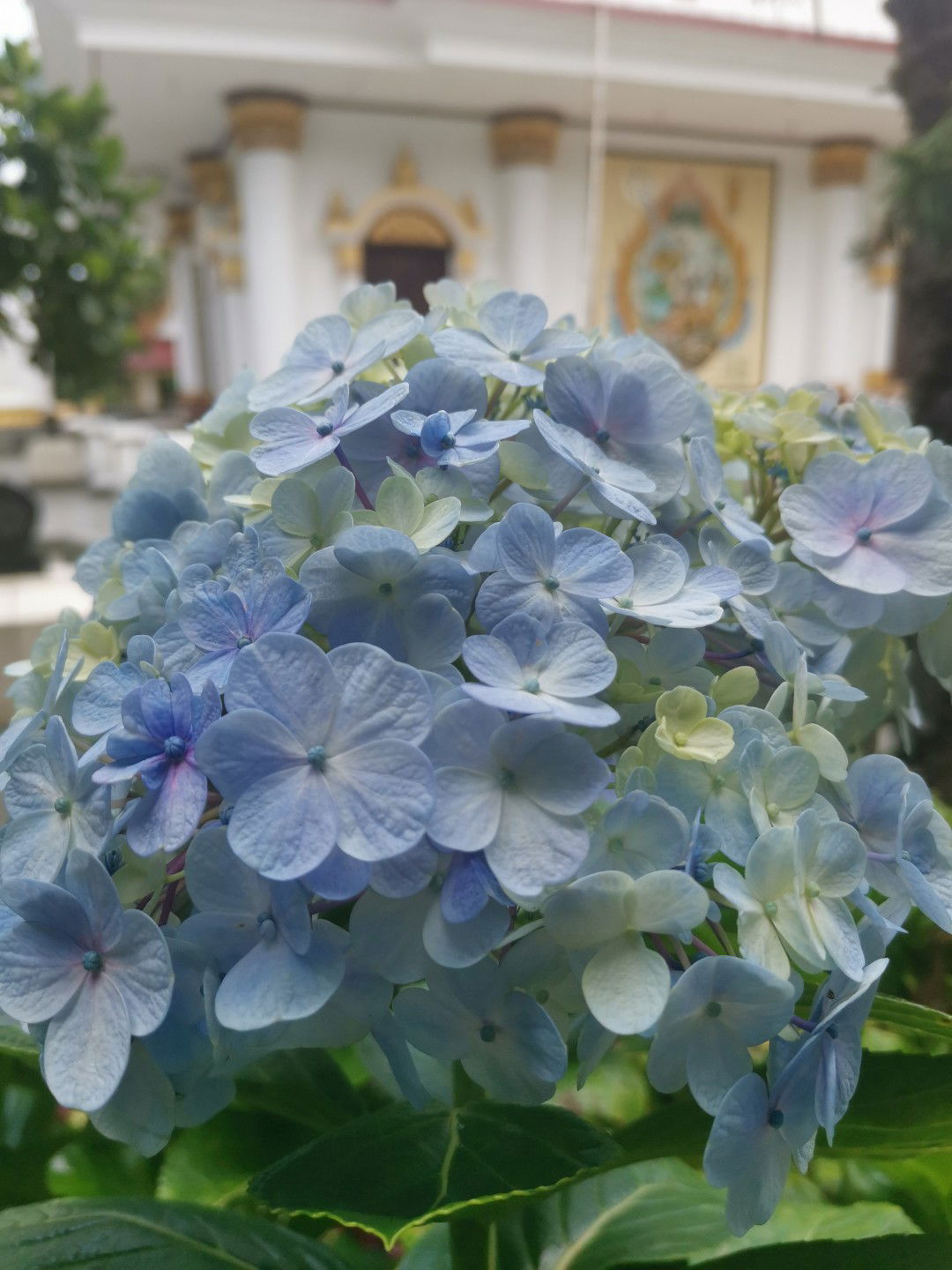 happy86soul profile icon