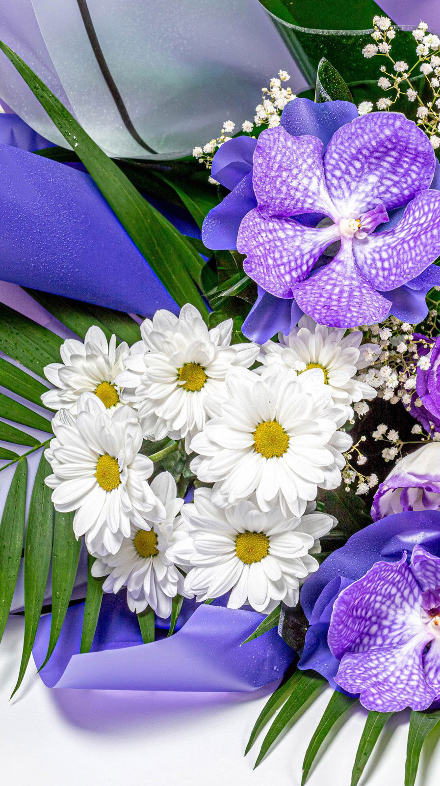 أم عبدالرحمن profile icon