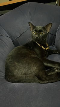 สิริมา พุดชู profile icon