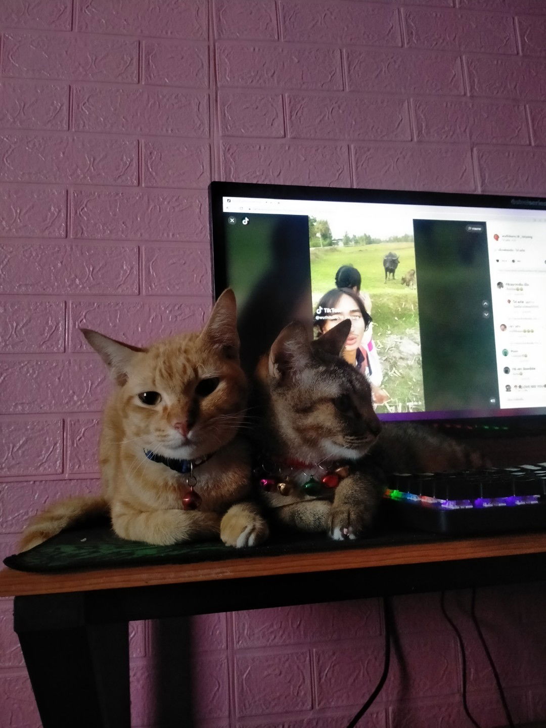 ทิพย์เนตร profile icon