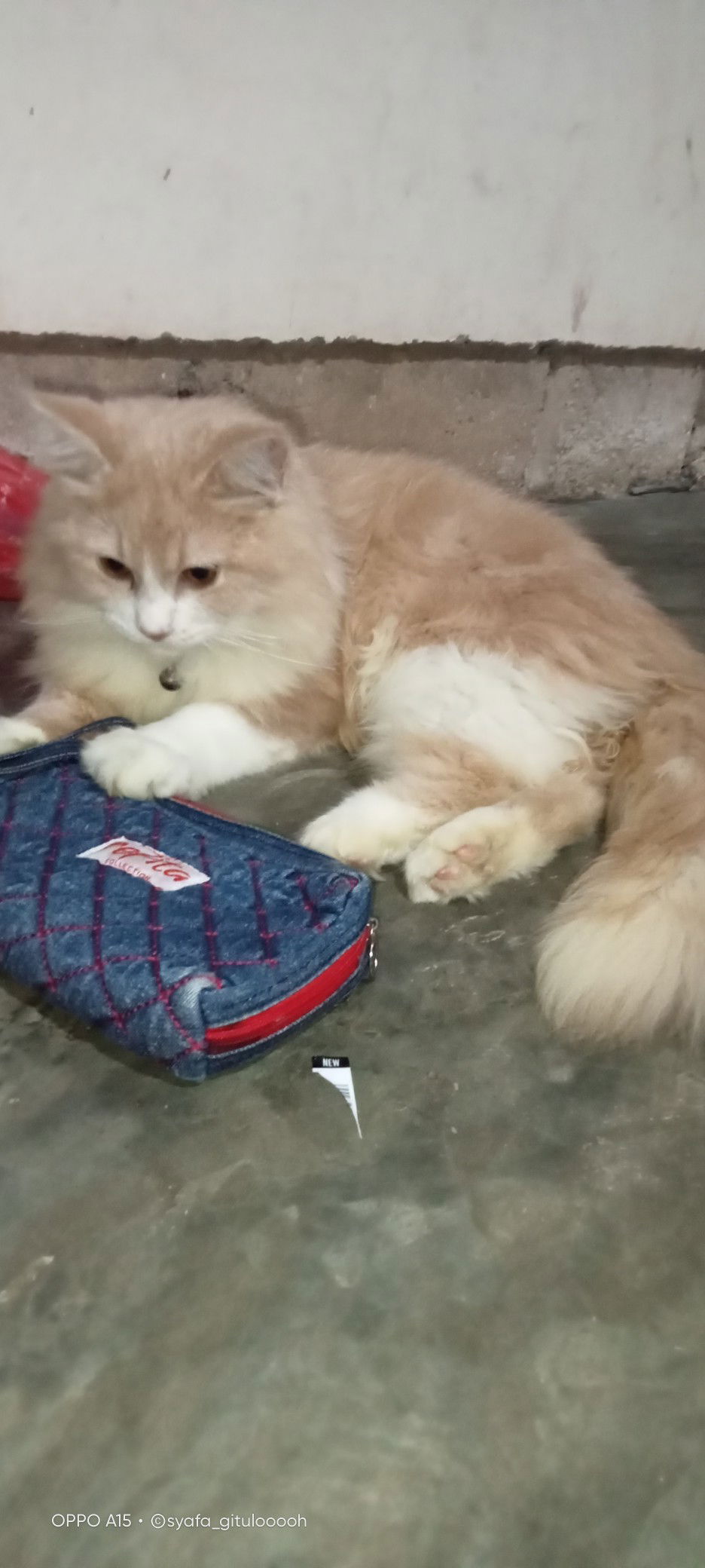 mama ikka profile icon